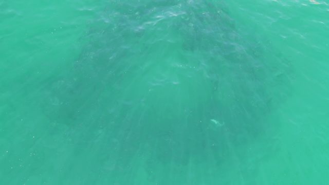 BUZZARDS BEACH EAST CAPE BCS MEXICO-2023: Turquoise Water Ripples and Light Reflections