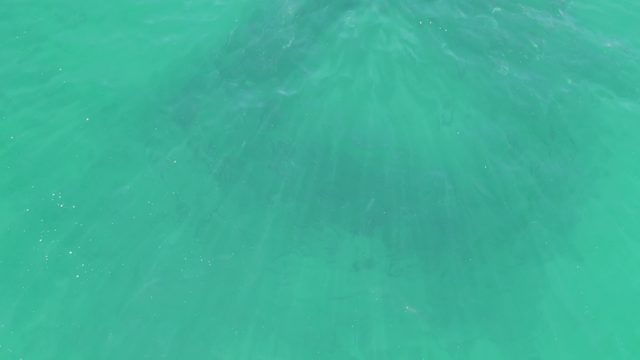 BUZZARDS BEACH EAST CAPE BCS MEXICO-2023: Gentle Ripples on Turquoise Ocean Water