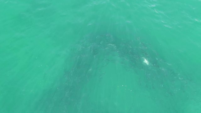 BUZZARDS BEACH EAST CAPE BCS MEXICO-2023: Submerged Rock Formation in Clear Turquoise Water