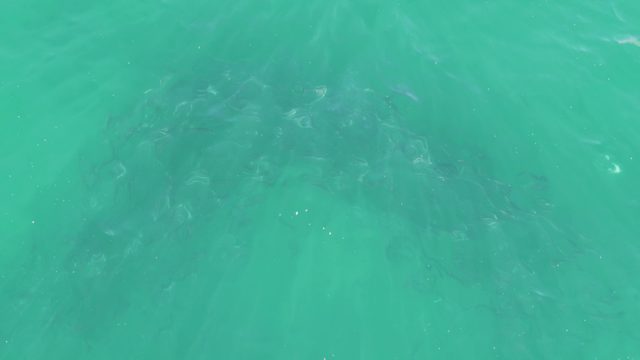 BUZZARDS BEACH EAST CAPE BCS MEXICO-2023: Clear Turquoise Water with Subsurface Currents