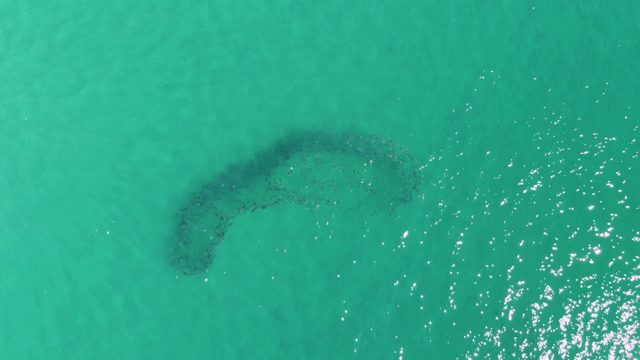 BUZZARDS BEACH EAST CAPE BCS MEXICO-2023: Curved Underwater Reef in Turquoise Ocean Water