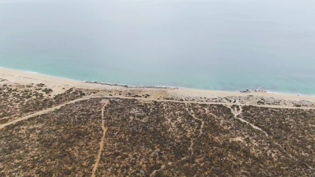 PUNTA GORDA BEACH BCS MEXICO-2023: Small Boat Moving Along Sandy Beach and Dunes
