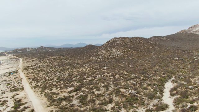 PUNTA GORDA BEACH BCS MEXICO-2023: Dirt Road Through Sparse Desert Terrain