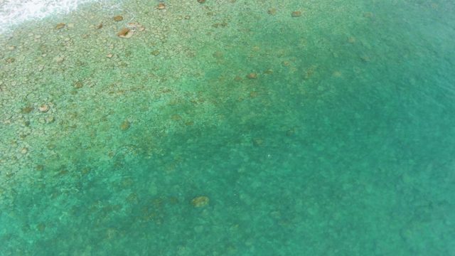 PUNTA GORDA BEACH BCS MEXICO-2023: Coastal Shoreline and Underwater Coral in Clear Water
