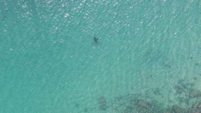 PUERTO LOS CABOS BEACH BCS MEXICO-2023: Swimmer Moving in Clear Turquoise Ocean Water