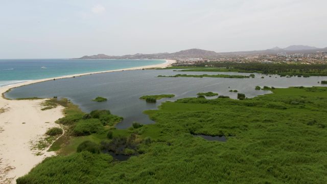 PUERTO LOS CABOS BEACH BCS MEXICO-2023: Coastal Lagoon and Sandy Shore with Wetland Vegetation