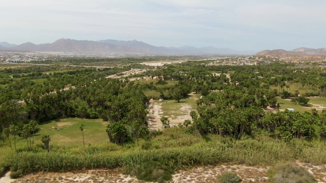 PUERTO LOS CABOS BEACH BCS MEXICO-2023: Golf Course Surrounded by Trees and Distant Mountains