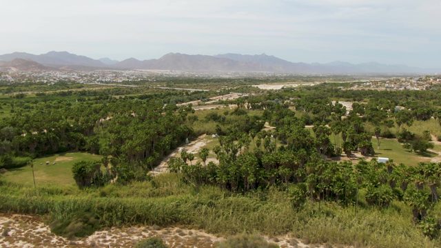 PUERTO LOS CABOS BEACH BCS MEXICO-2023: Golf Course and Tree-Lined Landscape with Distant Mountains