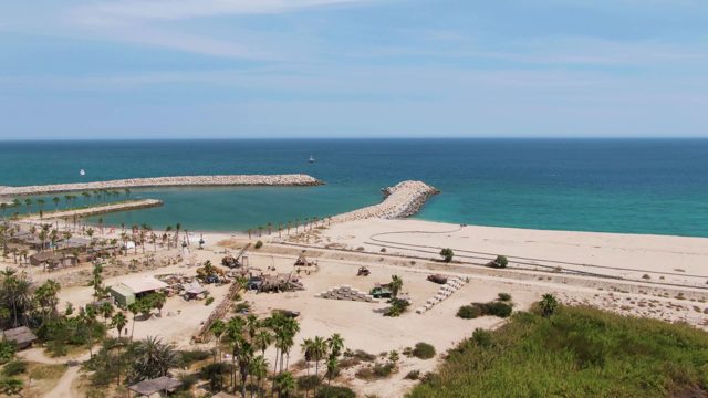 PUERTO LOS CABOS BEACH BCS MEXICO-2023: Palm Trees Swaying on a Sandy Beach