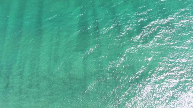PUERTO LOS CABOS BEACH BCS MEXICO-2023: Bird Flying Over Clear Turquoise Ocean Water