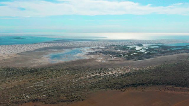 GUERRERO NEGRO BCS MEXICO-2022: Coastal Wetland with Shifting Shallow Water Levels