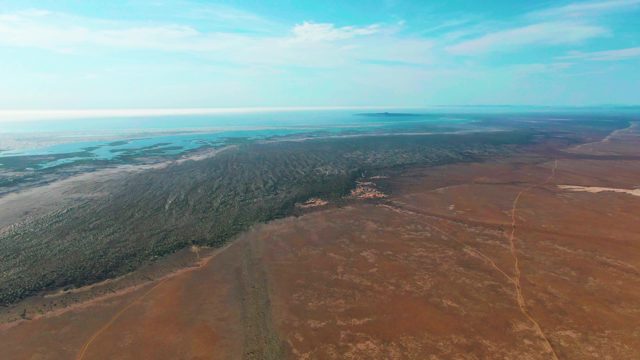 GUERRERO NEGRO BCS MEXICO-2022: Forest and Arid Field Aerial Landscape