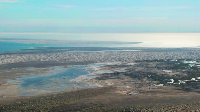 GUERRERO NEGRO BCS MEXICO-2022: Tidal Water Movement Across a Sandy Shore
