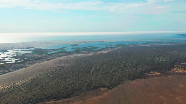 GUERRERO NEGRO BCS MEXICO-2022: Coastal Wetlands and Forested Shoreline From Above