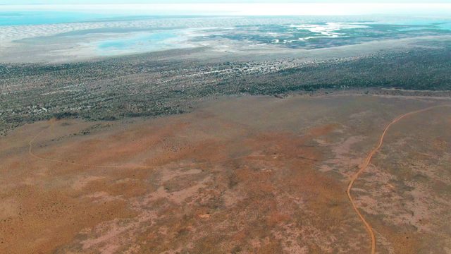 GUERRERO NEGRO BCS MEXICO-2022: Dirt Road Through Arid Terrain and Forest Edge