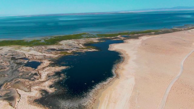 GUERRERO NEGRO BCS MEXICO-2022: Coastal Lagoon and Sandy Shore Aerial