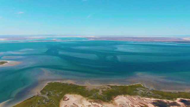 GUERRERO NEGRO BCS MEXICO-2022: Winding Water Channels Through Coastal Wetlands