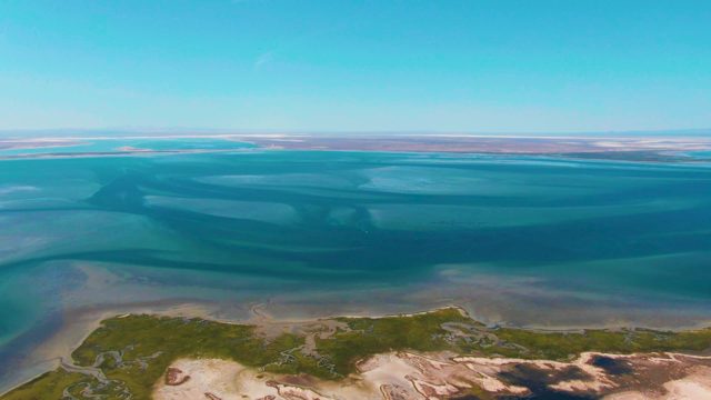 GUERRERO NEGRO BCS MEXICO-2022: Shifting Tidal Patterns on Coastal Waters