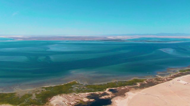 GUERRERO NEGRO BCS MEXICO-2022: Coastal Water and Sandy Shore with Green Patches