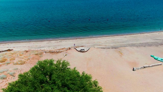 BAHIA DE LOS ANGELES BCS MEXICO-2022: Beach and Tree with Descending Aerial View