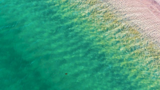 BAHIA DE LOS ANGELES BCS MEXICO-2022: Gentle Ocean Waves Lapping Sandy Shore
