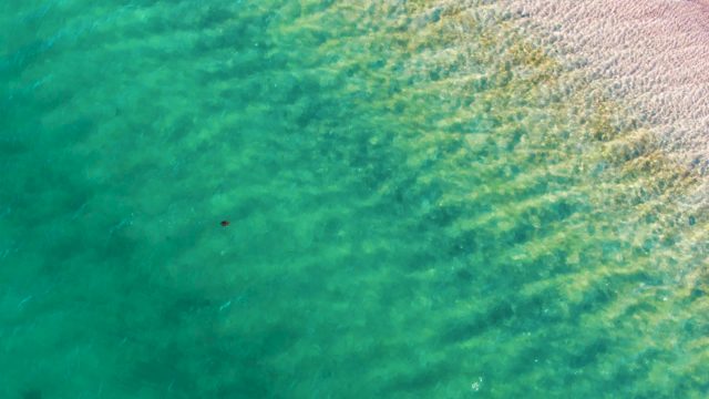 BAHIA DE LOS ANGELES BCS MEXICO-2022: Shallow Ocean Waters with Sandy Shore and Moving Object