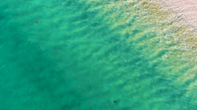 BAHIA DE LOS ANGELES BCS MEXICO-2022: Gentle Waves in Clear Turquoise Ocean Water with a Small Red Buoy