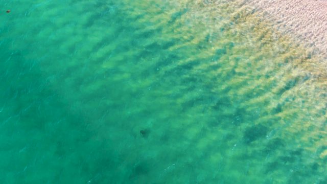 BAHIA DE LOS ANGELES BCS MEXICO-2022: Clear Ocean Water with Moving Submerged Object