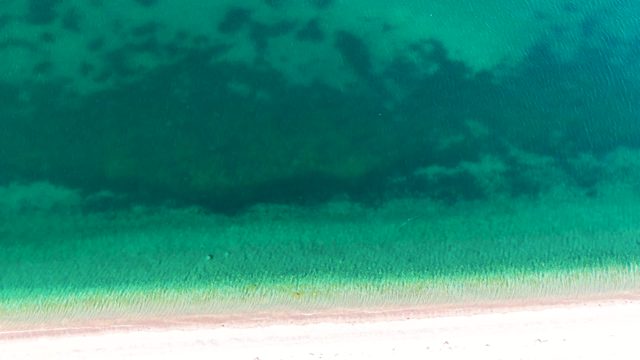 BAHIA DE LOS ANGELES BCS MEXICO-2022: Sandy Beach and Clear Turquoise Ocean Water