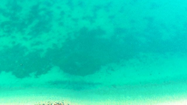 BAHIA DE LOS ANGELES BCS MEXICO-2022: Clear Turquoise Water Over Sandy Seabed with Coral