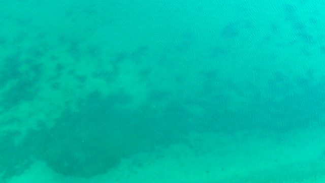 BAHIA DE LOS ANGELES BCS MEXICO-2022: School of Small Fish Swimming in Clear Turquoise Water