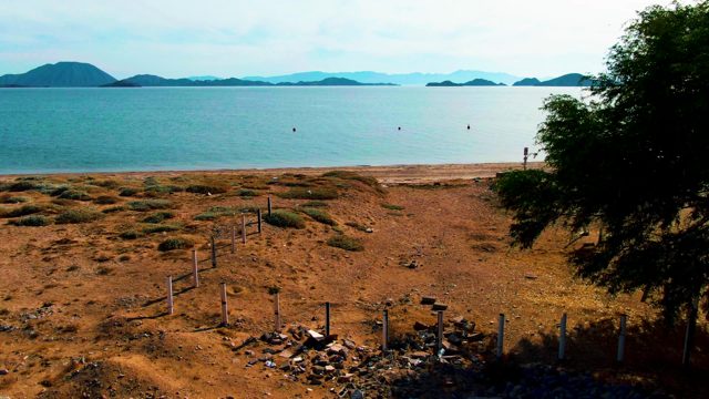 BAHIA DE LOS ANGELES BCS MEXICO-2022: Coastal Shore with Increasing Dirt Mounds