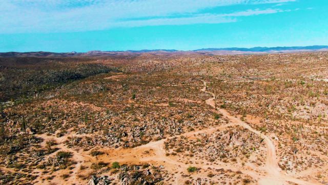 CATAVINA BC MEXICO-2022: Desert Landscape with Cacti and Winding Dirt Paths