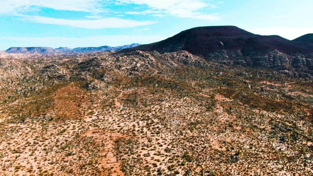 CATAVINA BC MEXICO-2022: Desert Landscape with Sparse Vegetation and Rocky Mountains
