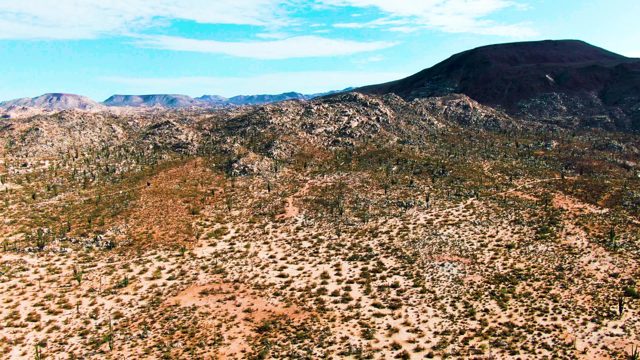 CATAVINA BC MEXICO-2022: Desert Terrain with Distant Mountains and Cacti