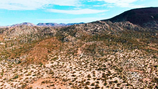 CATAVINA BC MEXICO-2022: Cacti and Rocky Hills in Arid Desert Landscape