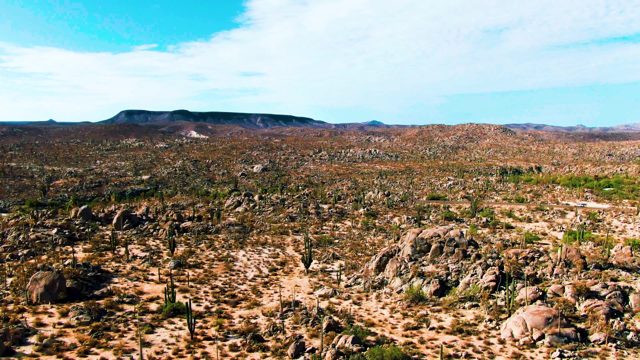 CATAVINA BC MEXICO-2022: Cacti and Rocky Terrain in Desert Landscape