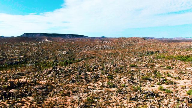 CATAVINA BC MEXICO-2022: Desert Landscape with Cacti and Rocky Formations
