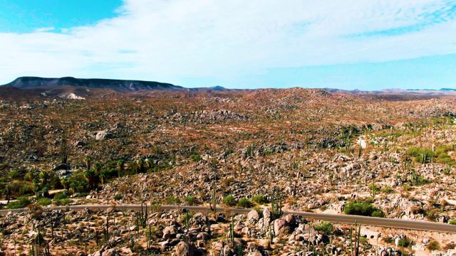 CATAVINA BC MEXICO-2022: Winding Desert Road Through Rocky Terrain with Cacti