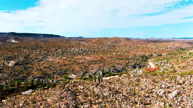 CATAVINA BC MEXICO-2022: Rocky Desert Terrain with Winding Dirt Path