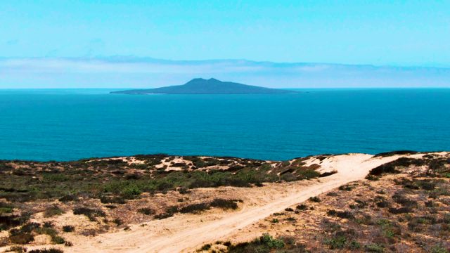 SAN QUINTIN BC MEXICO-2022: Sandy Dune Path Leading to Ocean and Island