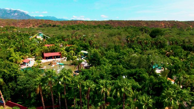 CADUANO BCS MEXICO-2022: Resort Pool Area with Palm Trees and Lush Greenery