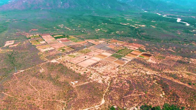 CADUANO BCS MEXICO-2022: Cultivated Fields and Mountainous Terrain From Above