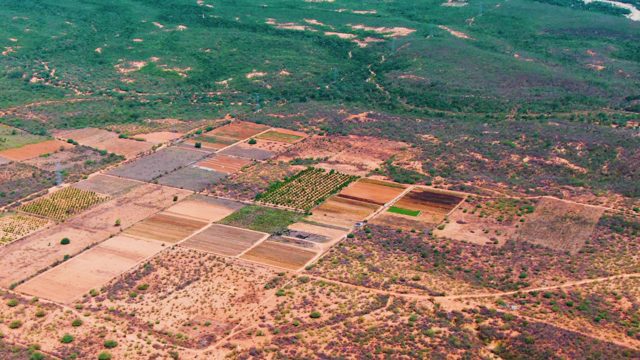 CADUANO BCS MEXICO-2022: Agricultural Fields and River From Above