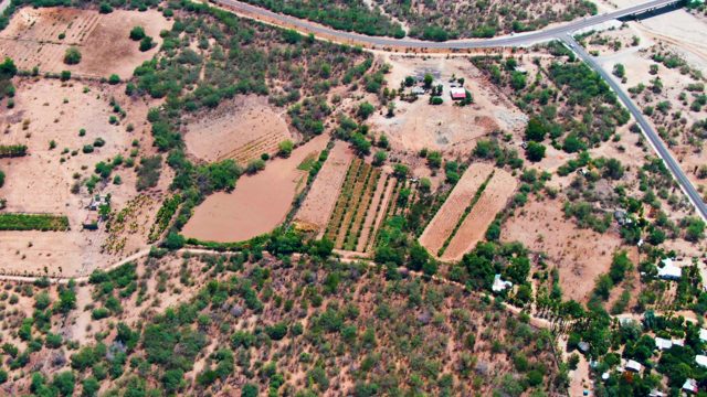 CADUANO BCS MEXICO-2022: Dry Farmland with Vehicle Moving on Road