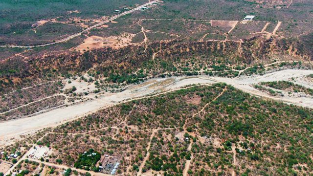 CADUANO BCS MEXICO-2022: Greenery Expanding in Semi-Arid Terrain