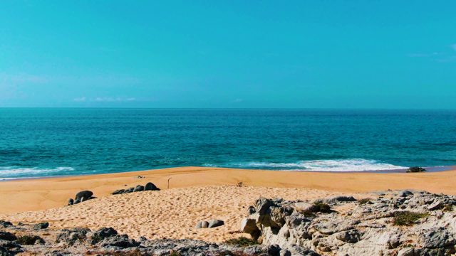 PUNTA BUZZARDS EAST CAPE BCS MEXICO-2022: Sandy Beach with Rocky Shore and Greenery
