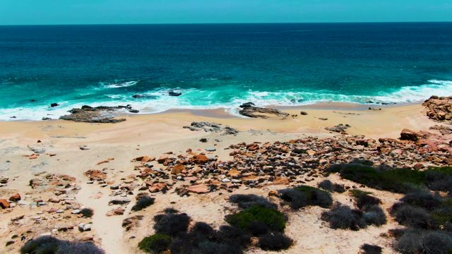 PUNTA BUZZARDS EAST CAPE BCS MEXICO-2022: Waves Crashing on Rocky Beach with Sand and Vegetation
