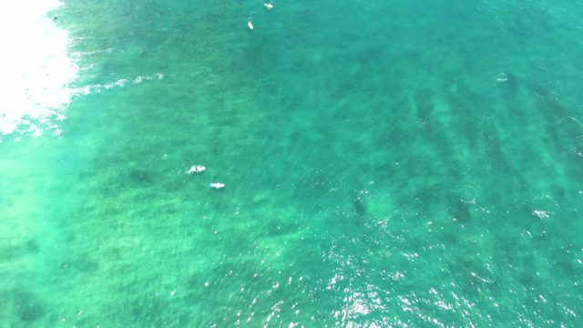 PUNTA BUZZARDS EAST CAPE BCS MEXICO-2022: Swimmers in Clear Turquoise Ocean Water