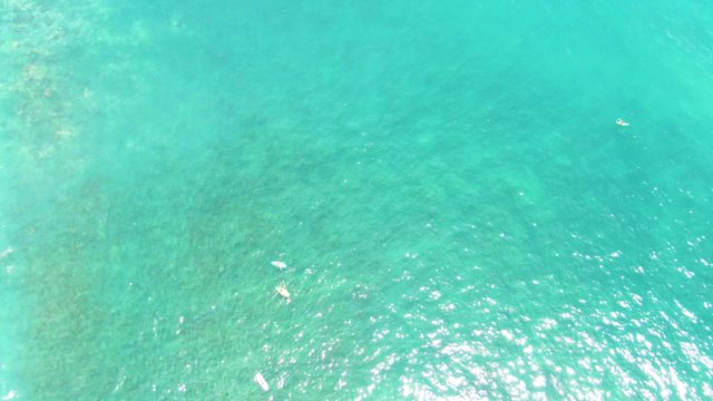 PUNTA BUZZARDS EAST CAPE BCS MEXICO-2022: People Swimming in Clear Turquoise Ocean Water